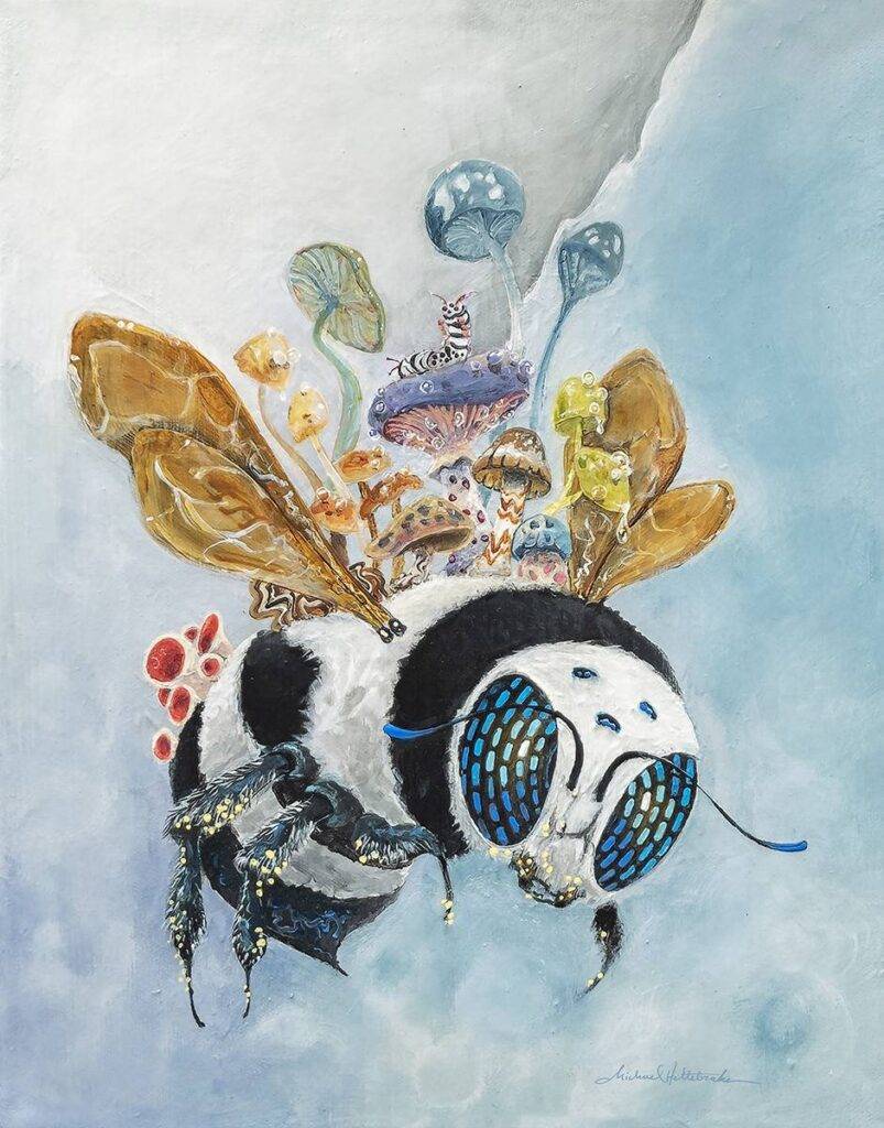 Panda Bee Prints Limited Edition Canvas Wrap